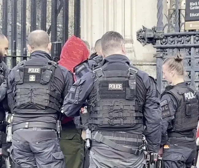 Man arrested over knife incident outside Parliament